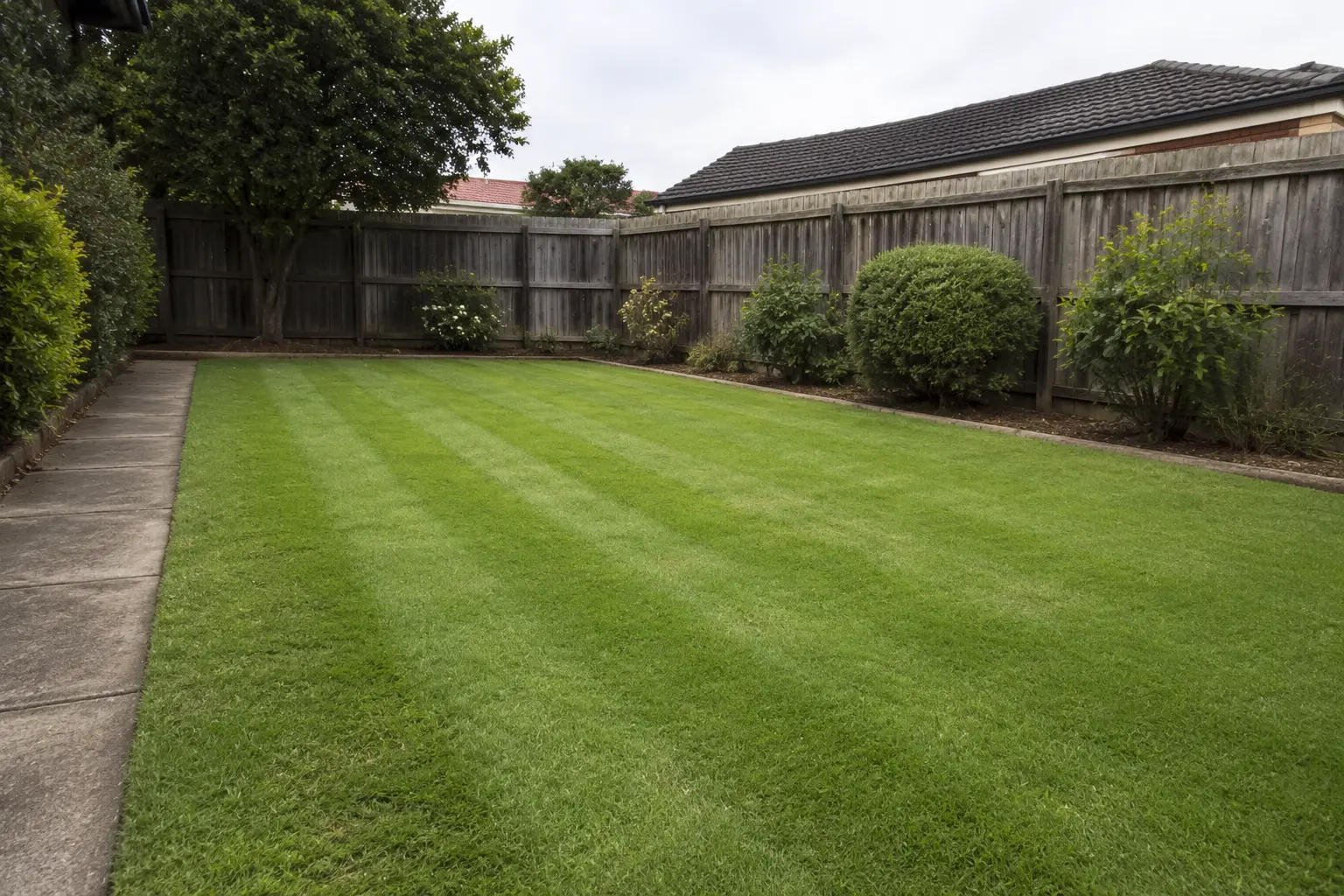 Freshly mown residential lawn with clean mowing lines