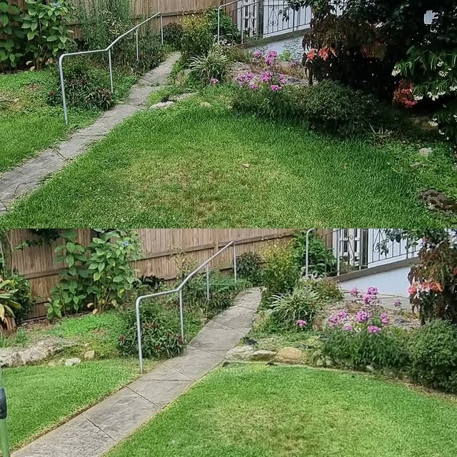 Before and after lawn mowing and garden tidy around a stone garden path